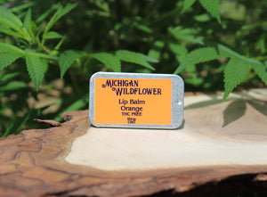 Wildflower Extracts 50mg CBD Lip Balm THC Free ~ Orange