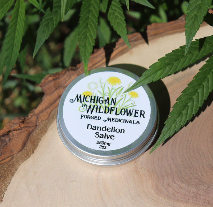 Michigan Wildflower Foraged Medicinals ~ Dandelion Salve Full Spectrum (Lemongrass scent)